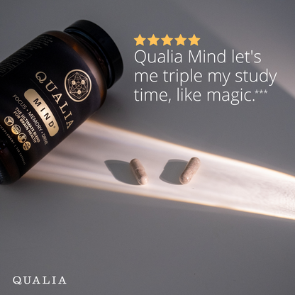 Qualia Mind 2.0