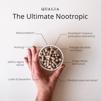 Qualia Mind 2.0
